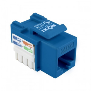 rj45-blue